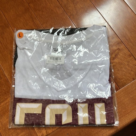 NWT Florida State NCAA FSU Seminoles Ladies Fitted Crew Neck T-Shirt - Picture 2 of 13
